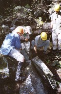 Conservation Work on the Middle Fork near Hunting Lodge